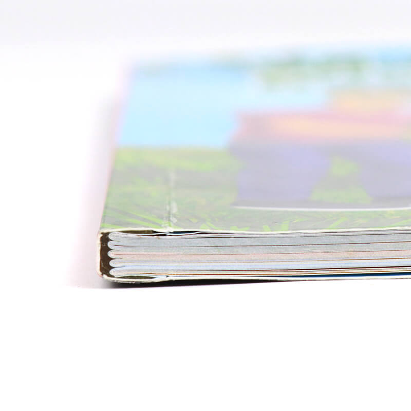 Paperback Kid Educational Books Full Color Printing Children Book 9