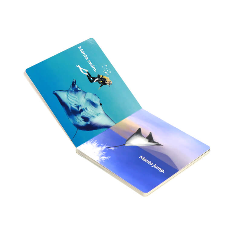 Children Board Book Full Color Printing Learning Book for Kids 7