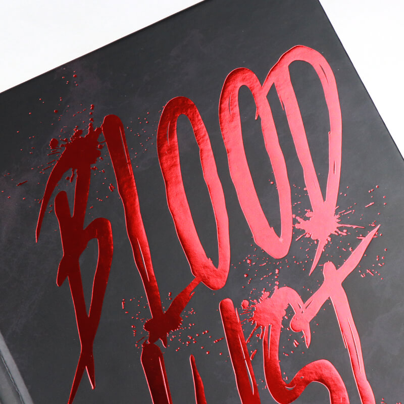 Special Edition Hardcover Novel with Foil on Cover and Sprayed Edges 9