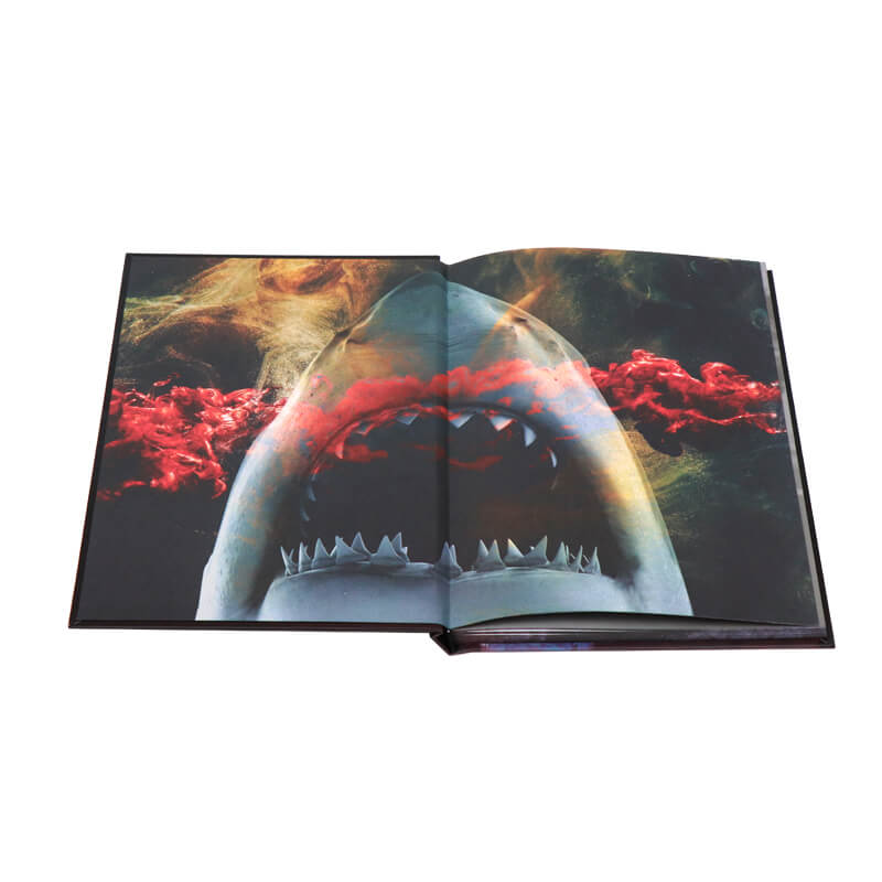 Special Edition Hardcover Novel with Foil on Cover and Sprayed Edges 7