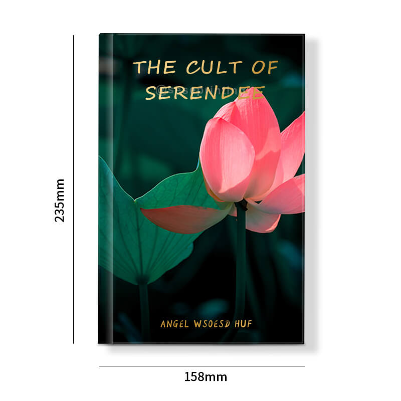 Fiction Novels Printing Hardback Book with Pattern Sprayed Edges 6