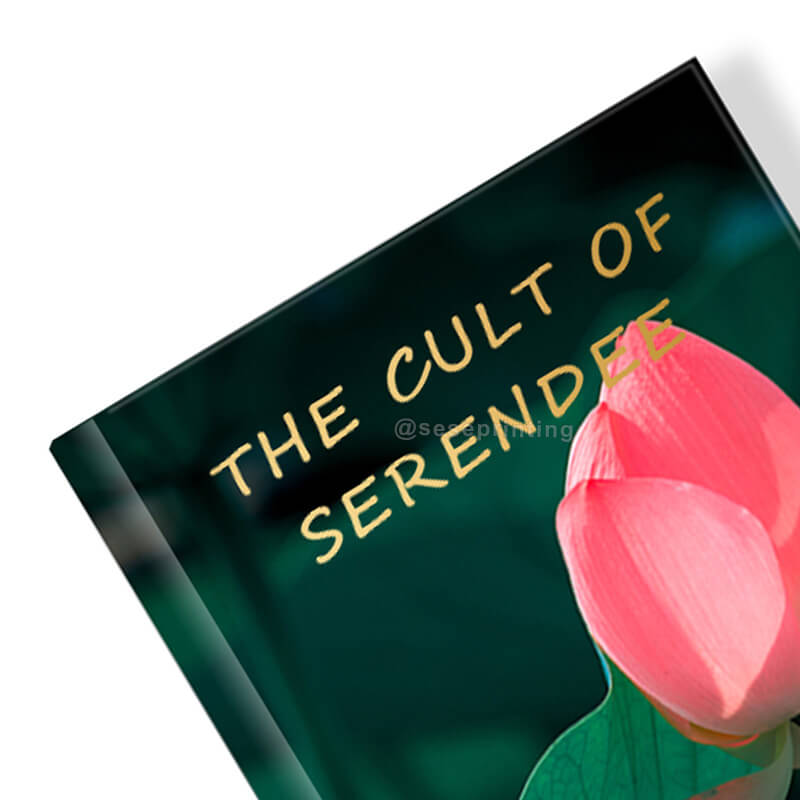 Fiction Novels Printing Hardback Book with Pattern Sprayed Edges 9