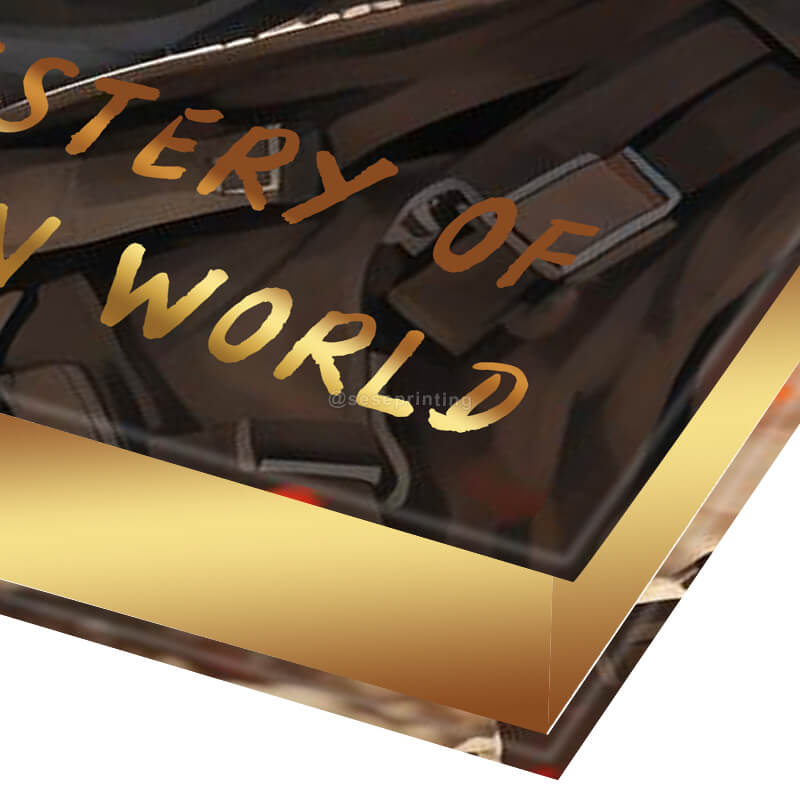 Black and White Printing Hardback Book with Gilded Sprayed Edges 8