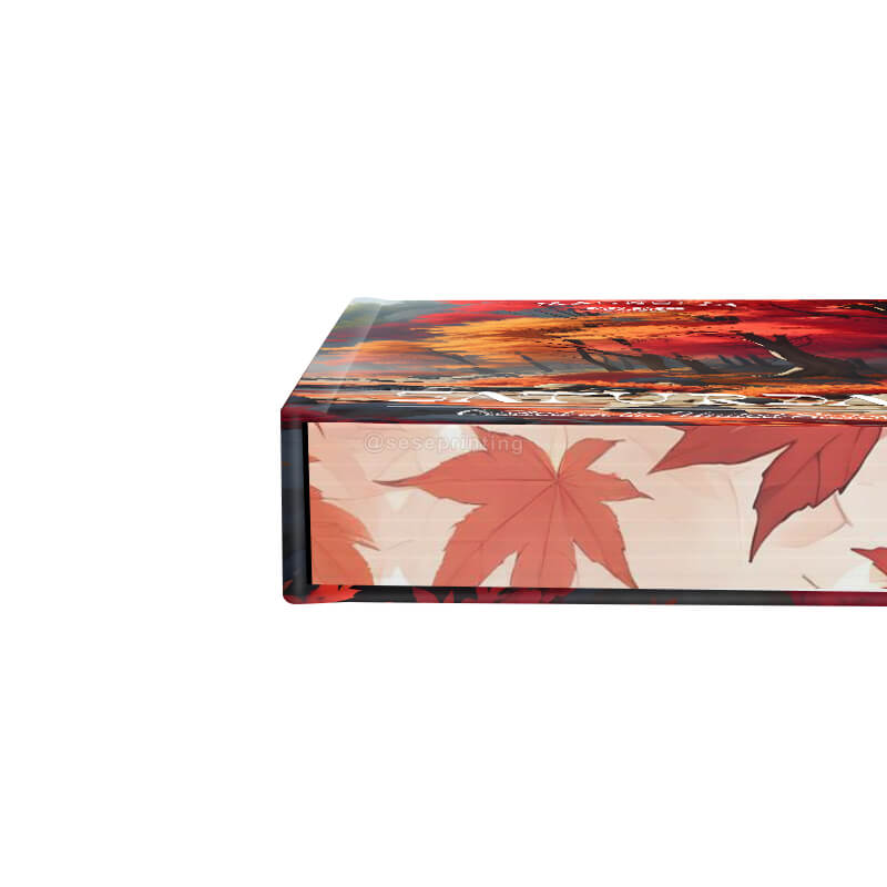 Special Edition Hardcover Fiction Novel with Pattern Sprayed Edges 10