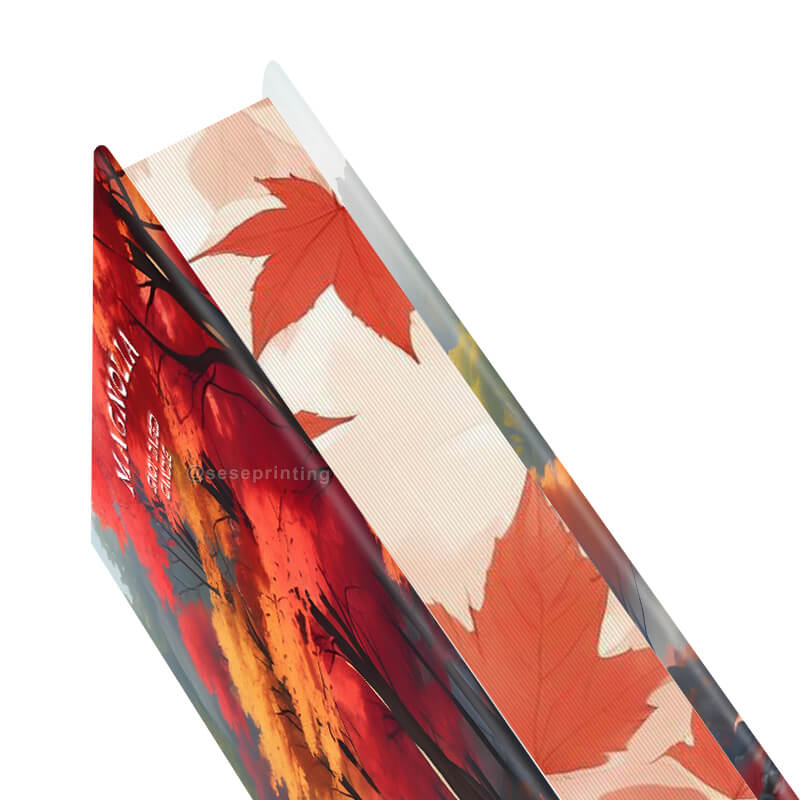 Special Edition Hardcover Fiction Novel with Pattern Sprayed Edges 9