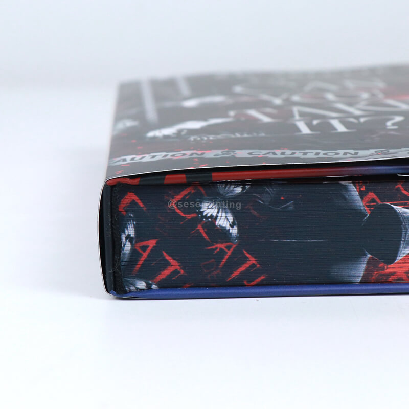 6*9 Hardcover-Buch inklusive Farbschnitt und Schutzumschlag mit Folienprägung 11