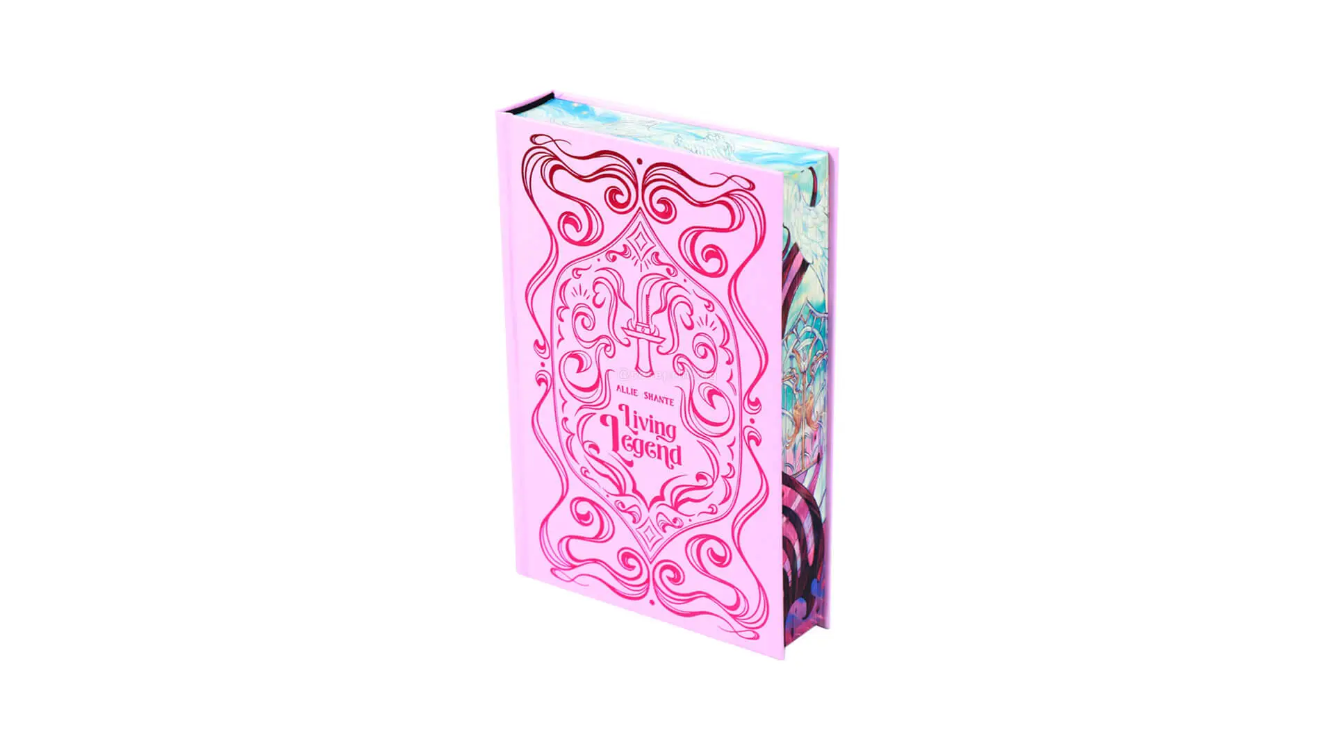 Hardback Special Edition Book with Stencilled Edges and Foiling Covers 1