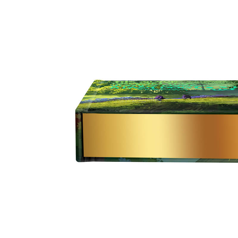 Hardcover Special Edition Novel with Foil on Cover and Gilded Edges 10