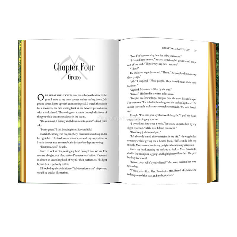 Hardcover Special Edition Novel with Foil on Cover and Gilded Edges 7