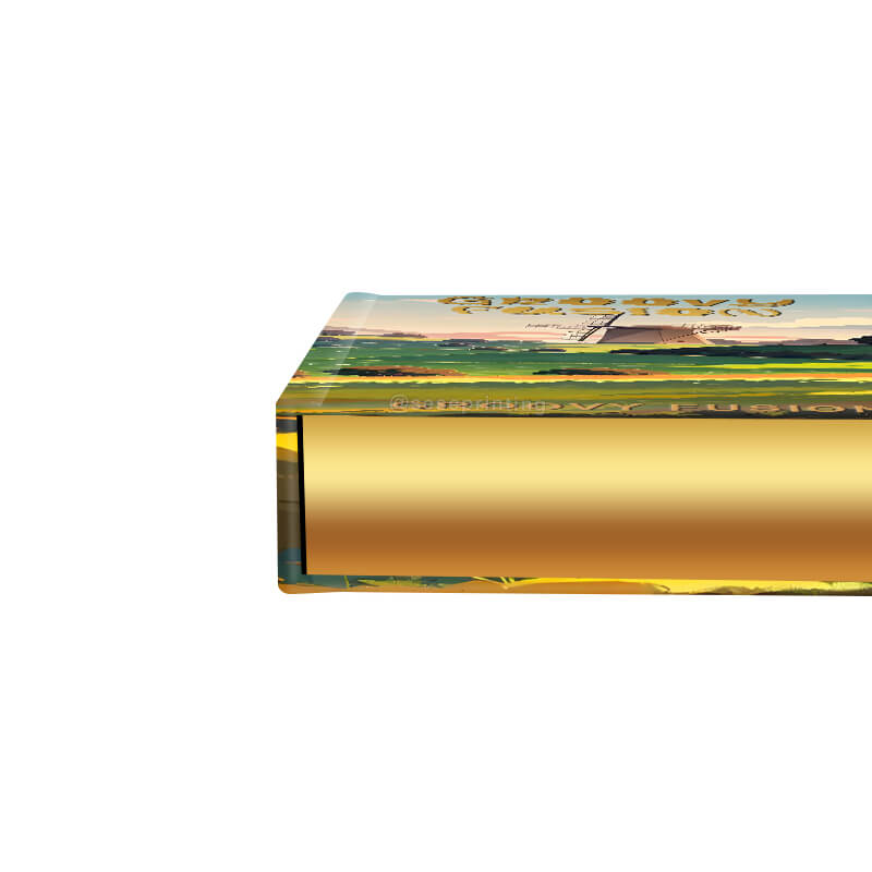 Gold Foil Stamping Hardcover Book with Custom Gold Sprayed Edges 10