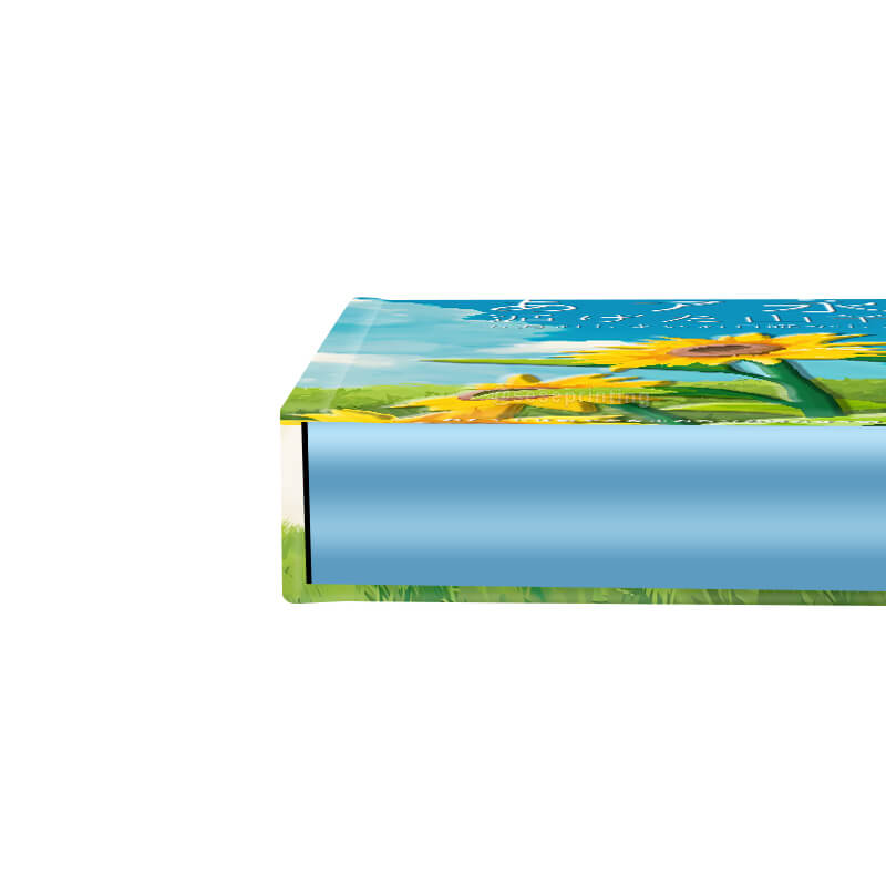 Custom Hardcover Fiction Book Printed Edges and  Foiling Cover 10