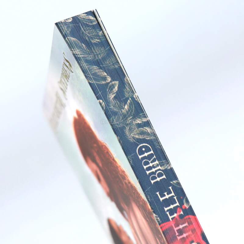 Edition of Paperback Books with Sprayed Edges and Foil on the Title 9