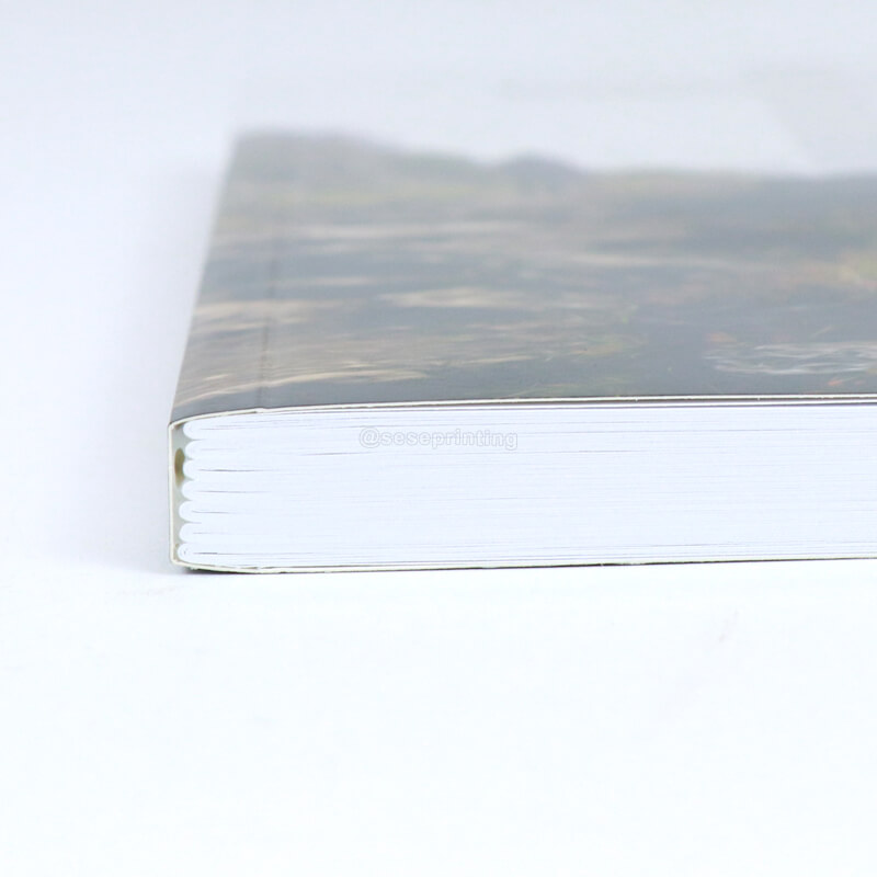 Perfect Bound Fiction Novel Black and White Printing Paperback Book 9