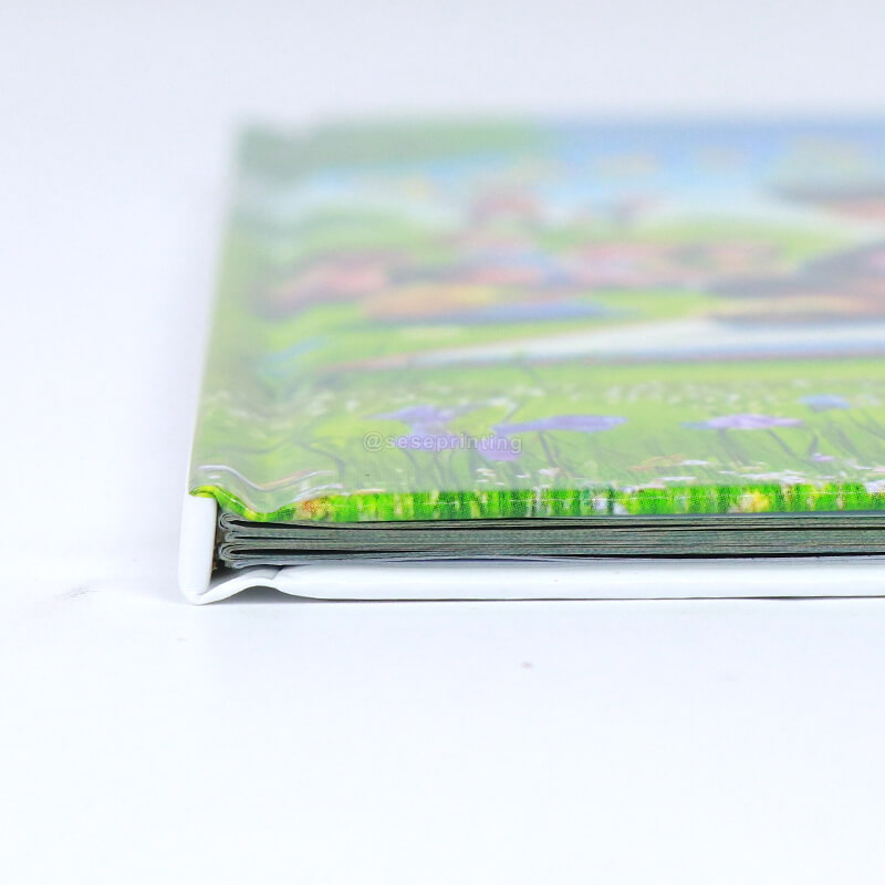 Early Education Kids Books Hardcover Children Picture Book Printing 9