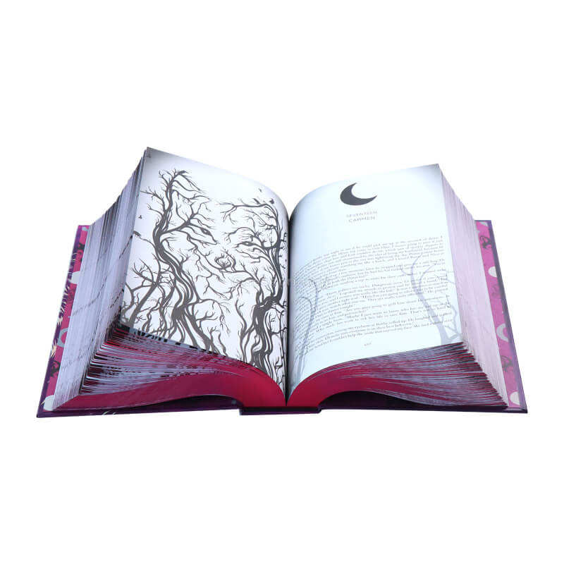 Special Edition Fantasy Book with Holographic Foil on Cover and Sprayed Edges 8