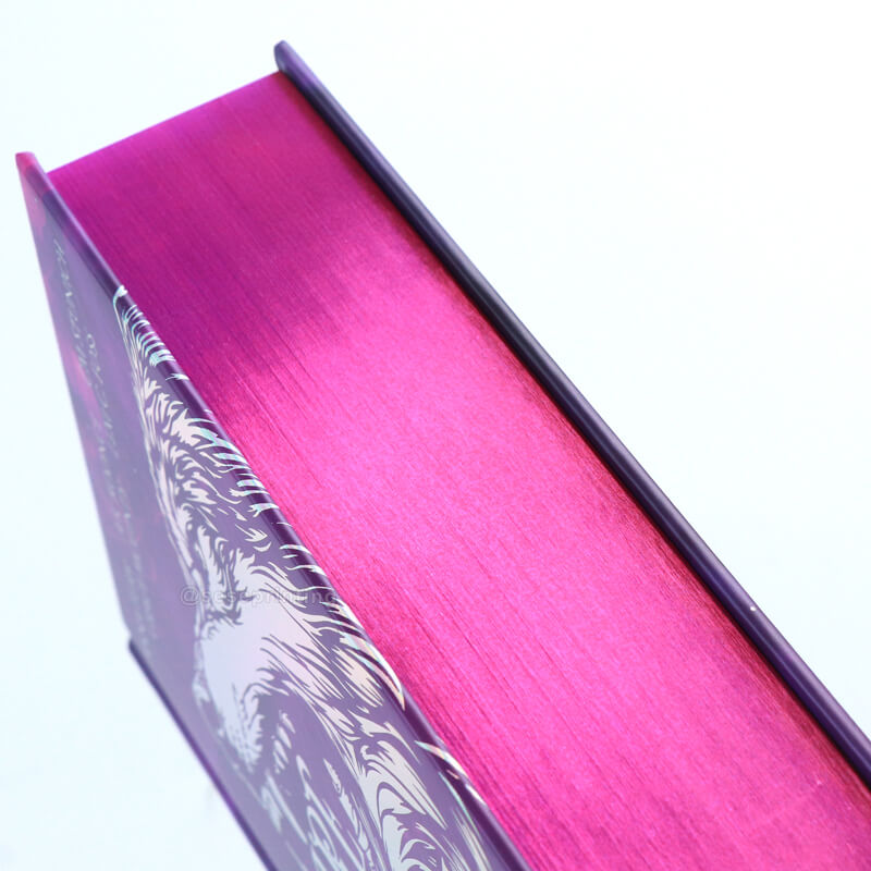 Special Edition Fantasy Book with Holographic Foil on Cover and Sprayed Edges 10