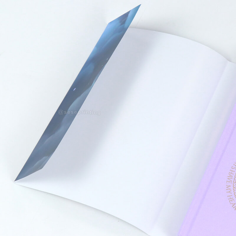 Fantasy Romance Book Series Printed with Sprayed Edges and Foil Dust Jackets 9