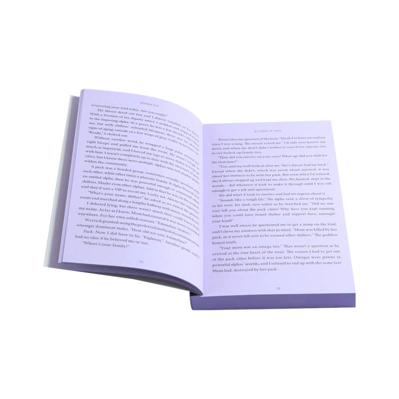 Paperback Special Edition Book with Holographic Foil on the Cover and Sprayed Edges 7