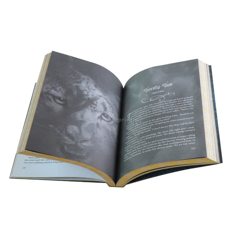 Paperback Book with Gold Foil Stamping on Cover and Sprayed Edges 7