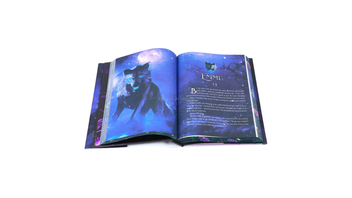 Novel Printed with Colored Illustrations Inside, Sprayed Edges and Dust Jackets 1