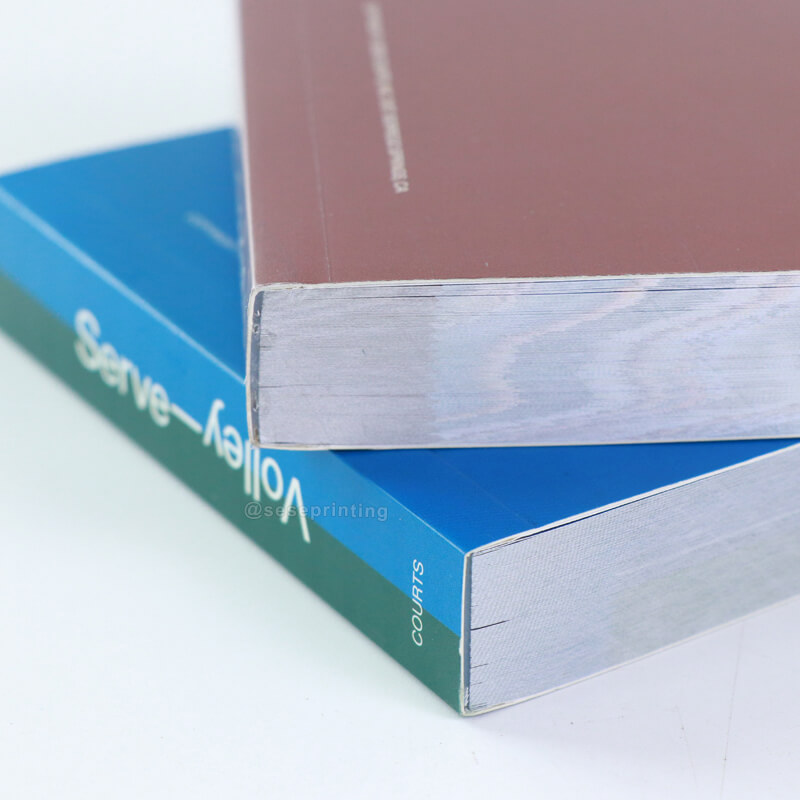 Custom Soft Cover Animation Book Paperback Flip Books for Children 8