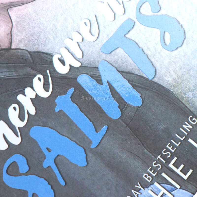 Matte Hardcover with a Few Colored Illustration Pages, Spot UV, Front Endpapers and Sprayed Edges 10