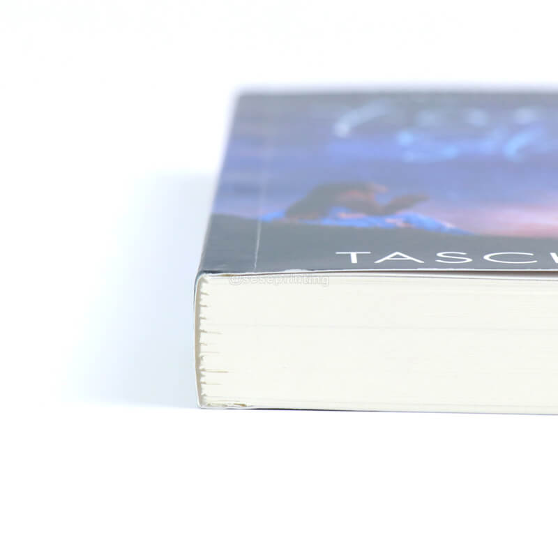 High Quality Romance Book Black and White Printing Paperback Novels 9