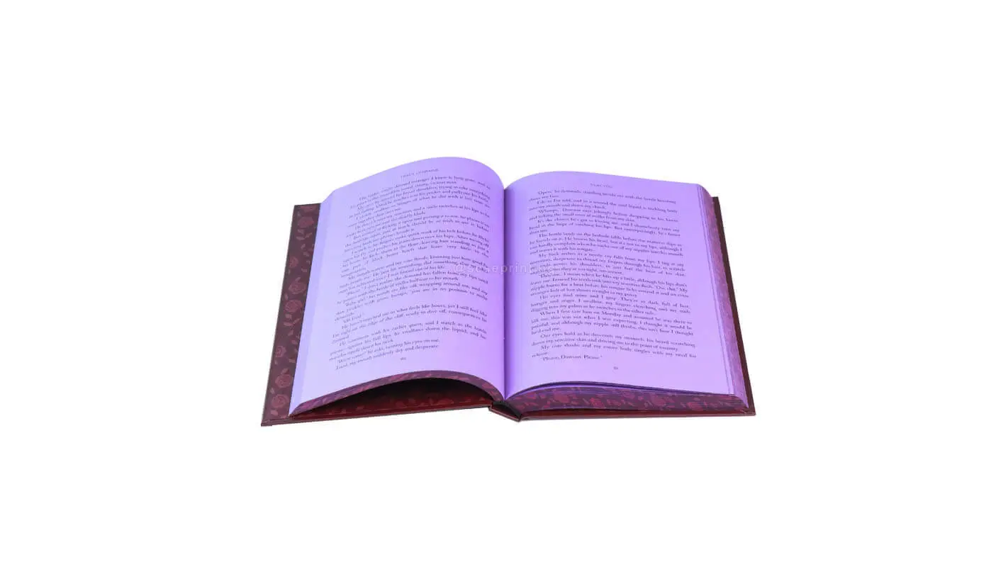 Hardcover Book with End Papers, Colored Papers, Silver Foil Stamping on the Cover, And Sprayed Edges 1