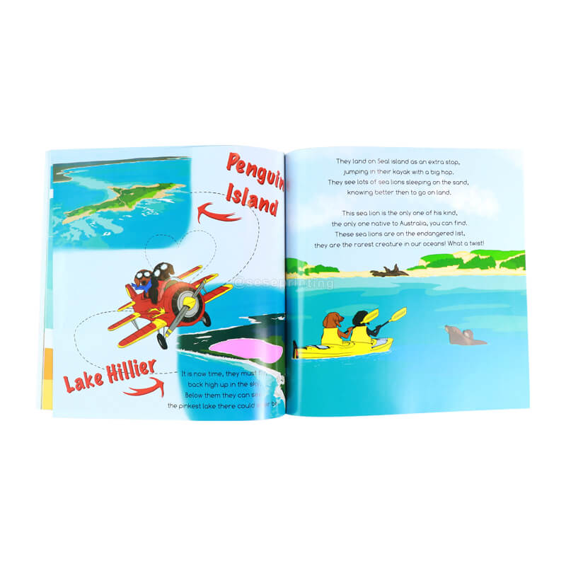High Quality Full Color Printing Hardcover/Softcover Children Book 7