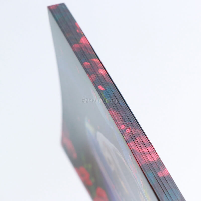 Self-Published Paperbacks with UV Embossing on the Cover, and Sprayed Edges 9