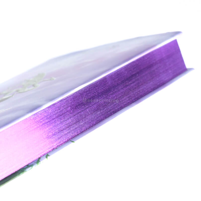 Hardcover Edition Fantasy Novel Printed with Dust Jackets and Sprayed Edges 10