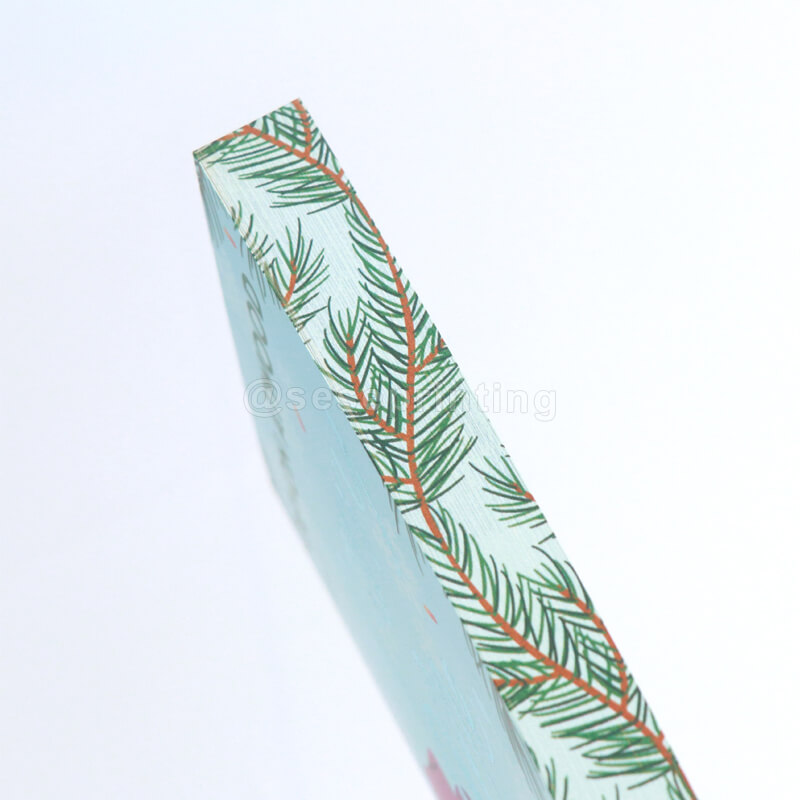 Special Edition Paperbacks with Foiling Cover and Stenciling on the Edges 9