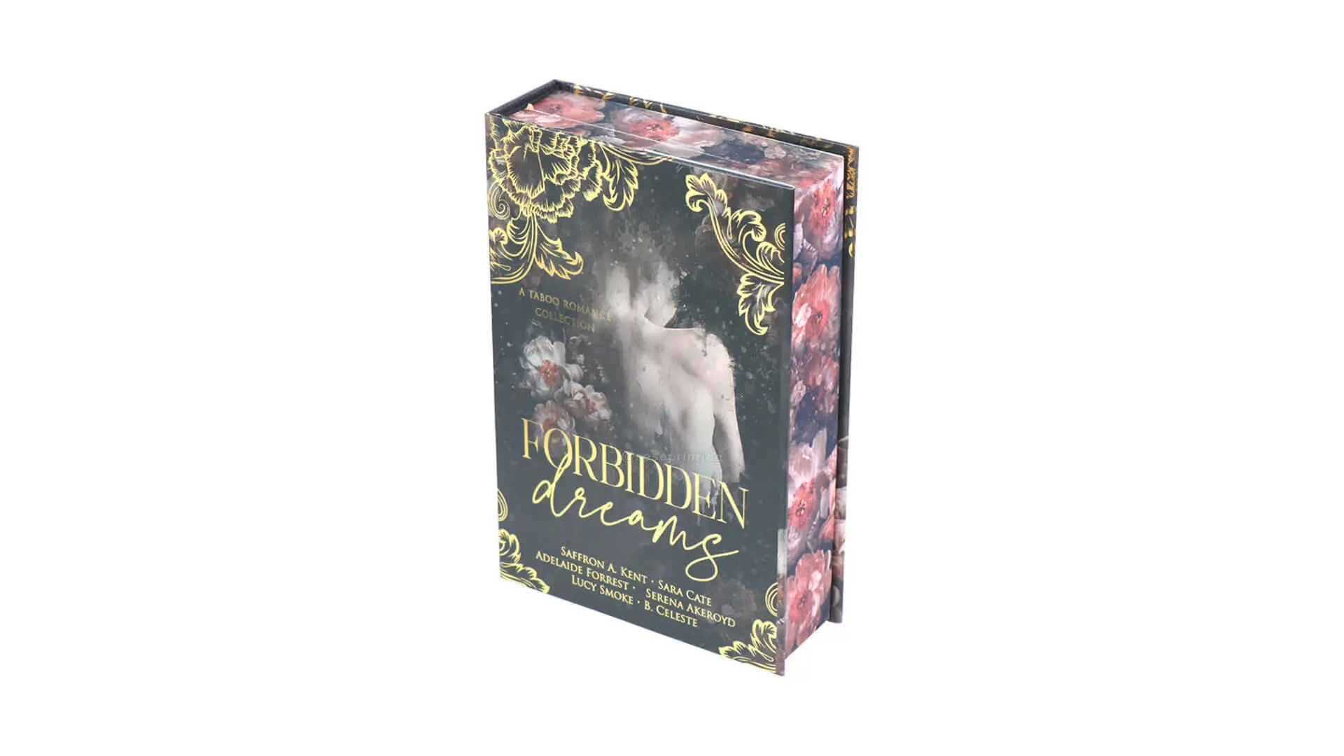 Special Edition Fantasy Book Hardback with Sprayed Edges, Foiling, Dust Jacket, and End Pages 1