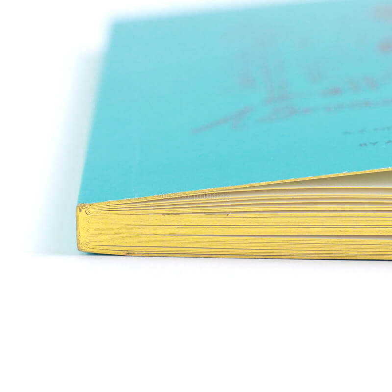 Special Edition Paperback Book Series with Foiling Cover and Sprayed Edges 11