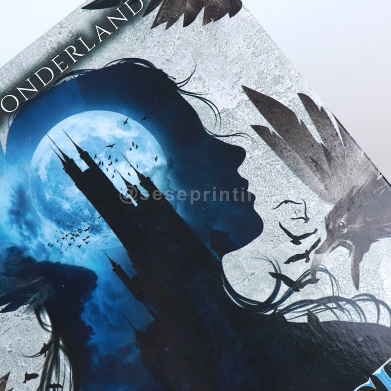 Special Edition Omnibus with Dust Jackets, Gloss Hardcover, Stenciled/Design Edges 11