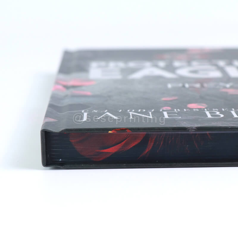 Special Edition Hardcover Book with Silver Foil Covers and Patterned Edges 11
