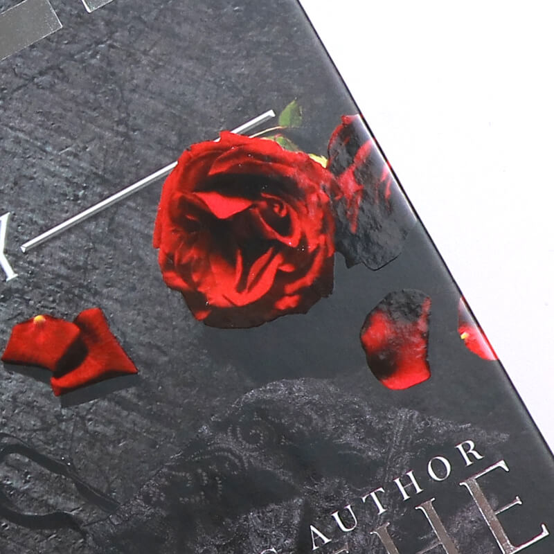 Special Edition Hardcover Book with Silver Foil Covers and Patterned Edges 9