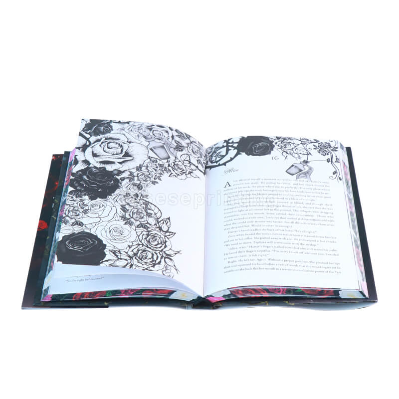 9x6 Hardcover Book with Dust Jacket, Illustration Endpapers, and Stenciled Edges 8