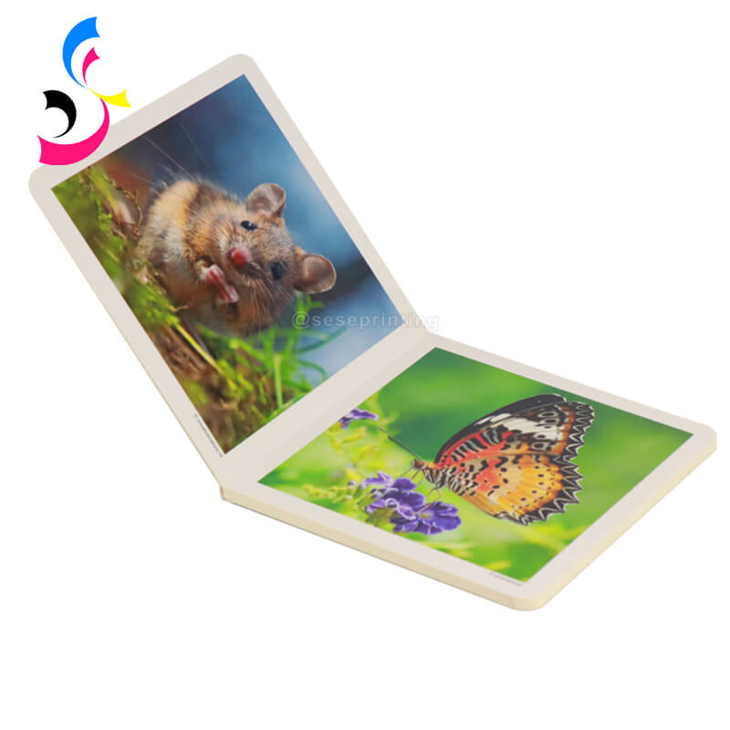 FAQs on Custom Children's Book: Printing, Formats, and More 1