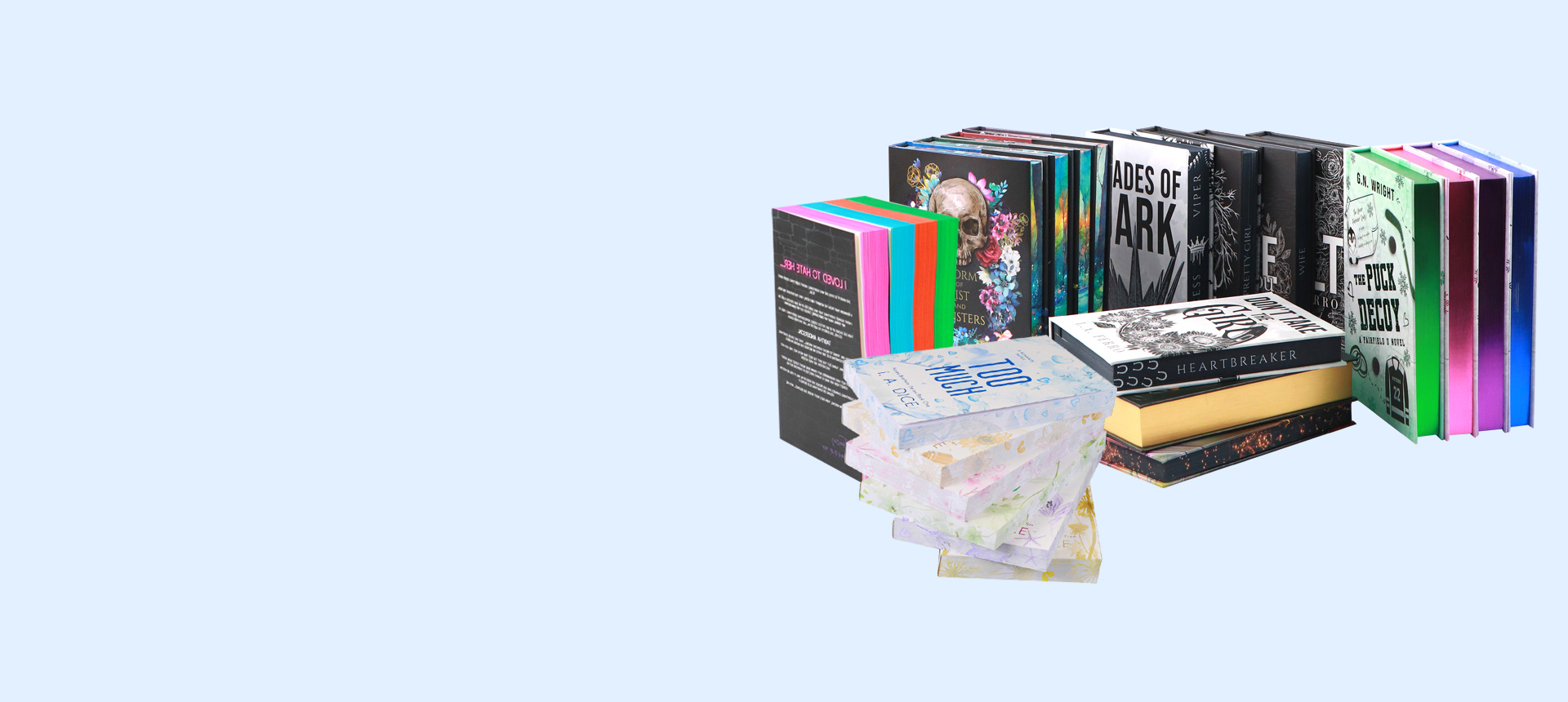 30+ YEARS EXPERIENCES