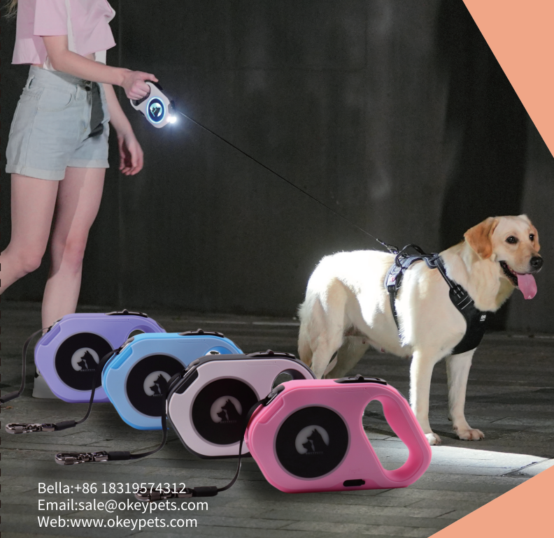 Comment promener son chien la nuit : 5 conseils de sécurité 1