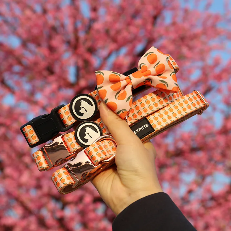 Custom best front attach dog harness bulk Manufacturer | OKEYPETS 6