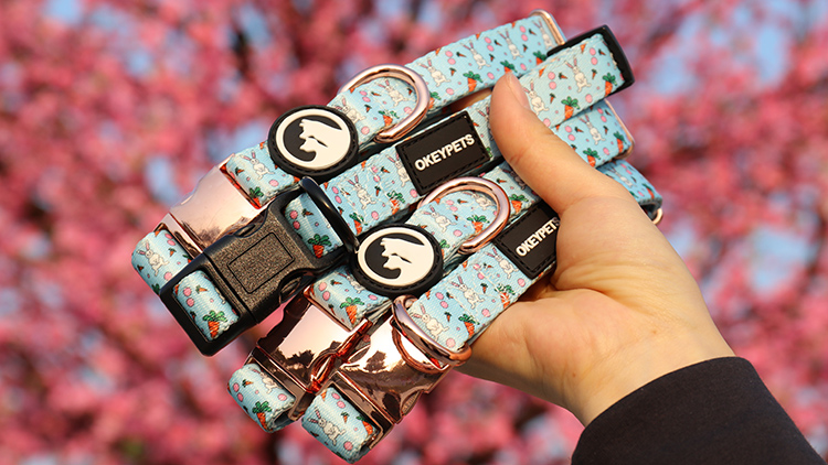 Top 5 Dog Collar Manufacturer in the World | List 1