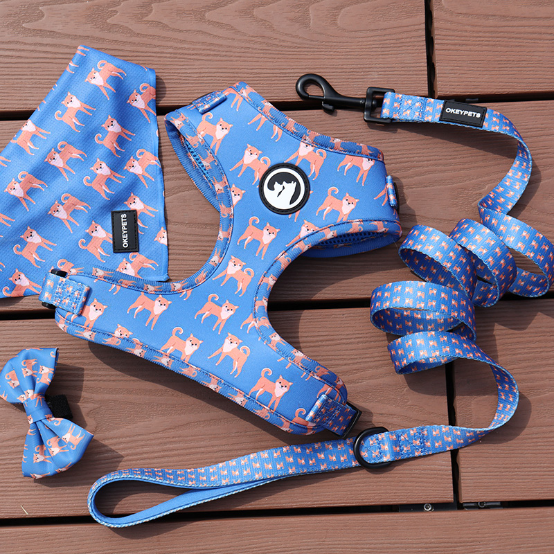 OKEYPETS Ensemble harnais et laisse de luxe personnalisé pour chiot, avec sac à déjections canines ajustable, bandana et néoprène respirant. 8