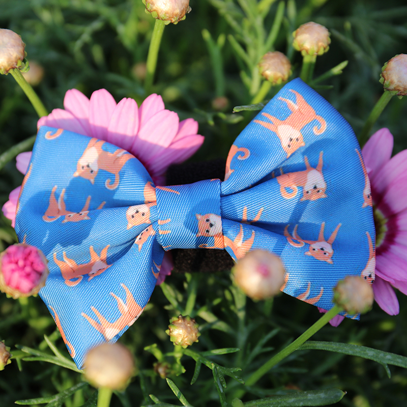 OKEYPETS Ensemble harnais et laisse de luxe personnalisé pour chiot, avec sac à déjections canines ajustable, bandana et néoprène respirant. 9