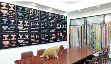 OKEYPETS showroom displaying various dog harnesses, collars and leashes for global buyers
