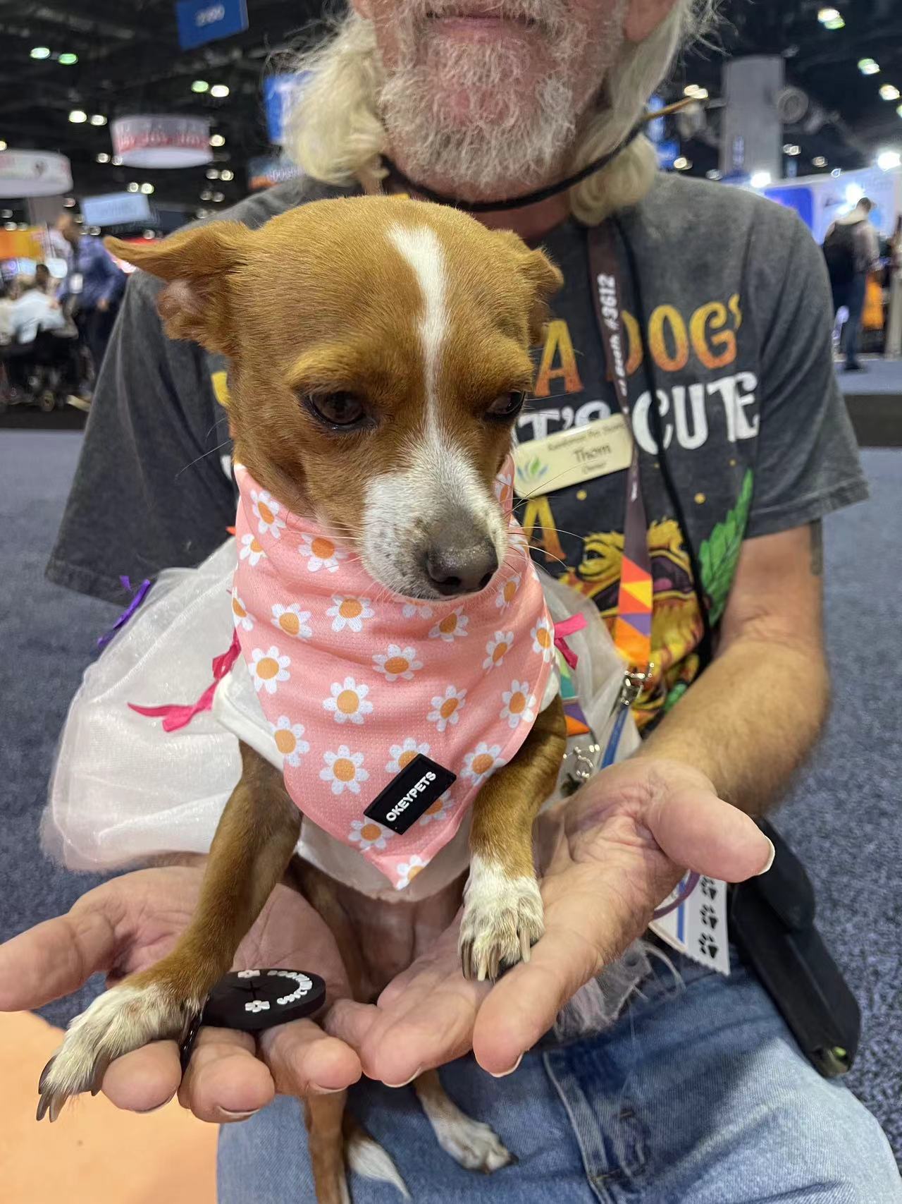 OKEYPETS Harnais chauds en velours pour chiots - Fabricant de harnais en velours pour animaux de compagnie 32