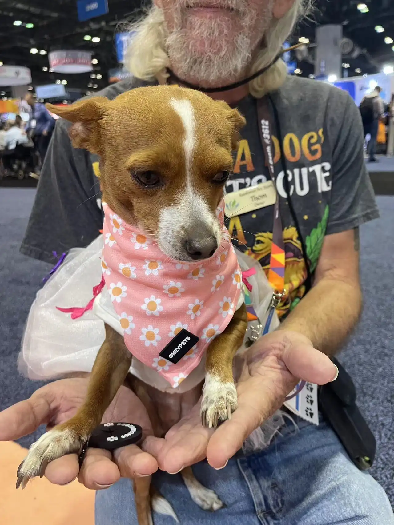 Úim Oiliúna Madraí LED OKEYPETS, image size:1280x1707