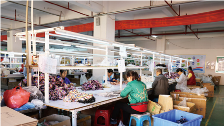 Custom Luxury Sherpa Dog Harness No-Pull Comfort  Dog Harness 32