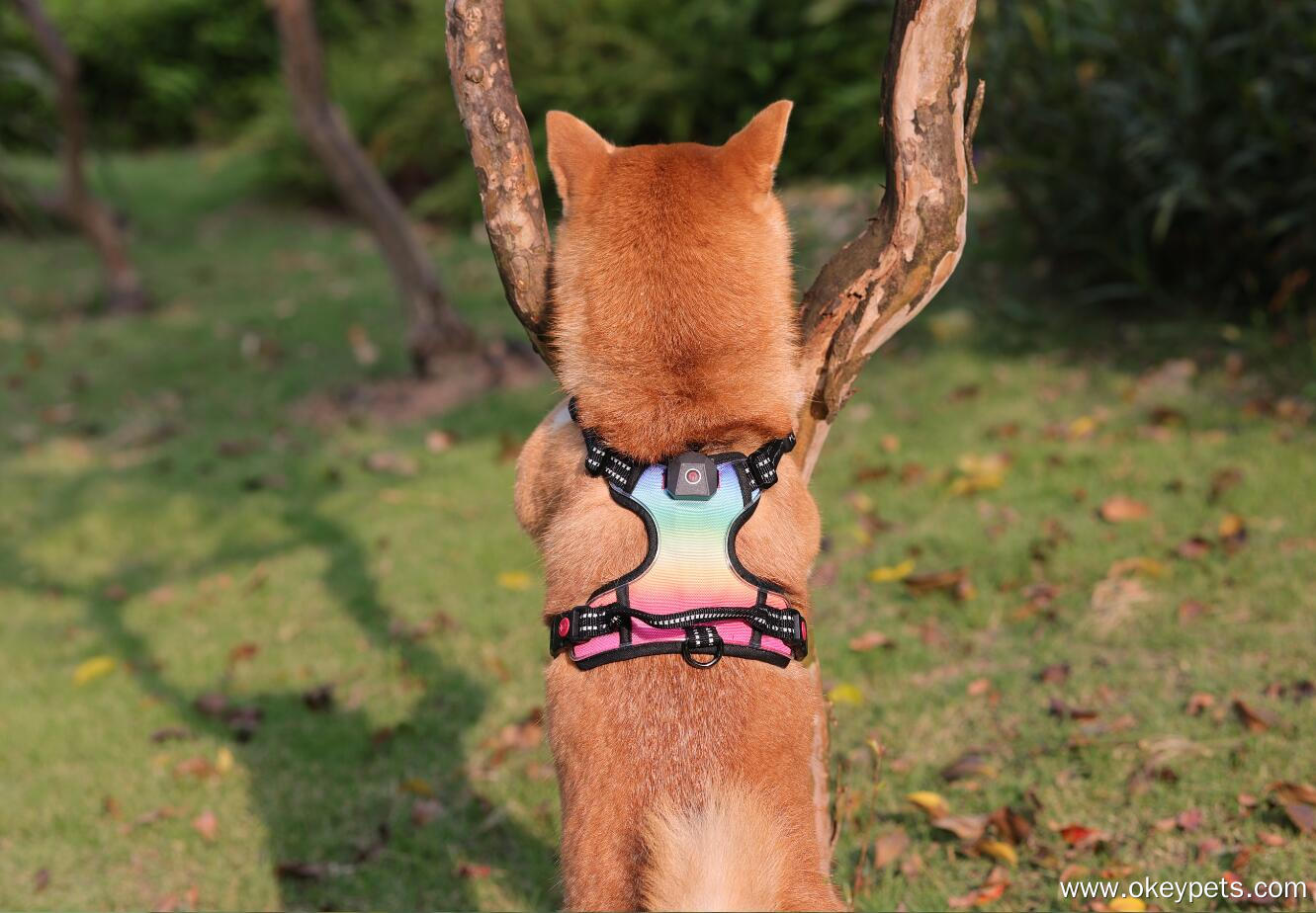 Harnais lumineux personnalisé OKEYPETS pour chien, harnais anti-traction à LED 16